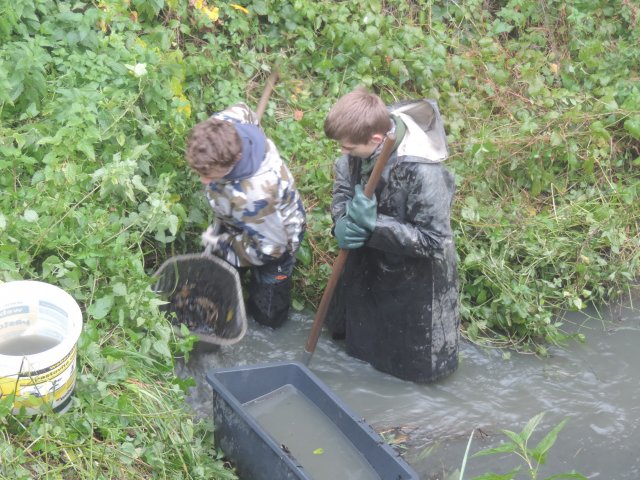 Výlov Dlouhé 2014